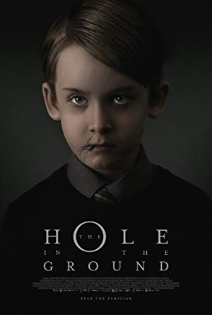 Poster for The Hole in the Ground